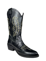 Bota Texana