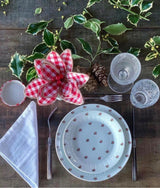 Set 7 Platos de Porcelana Alemana