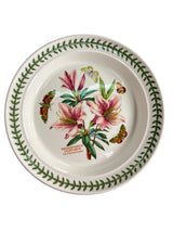 Set Vajilla Porcelana Inglesa