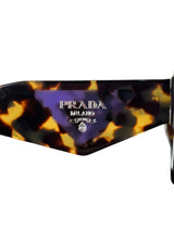 Anteojos Carey SPR 23Y