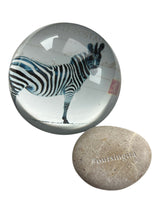 Set de 2 Pisapapeles Cebra