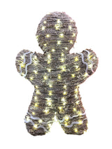 Galleta de Jengibre Iluminada
