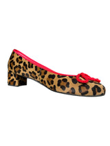Taco Salon Animal Print