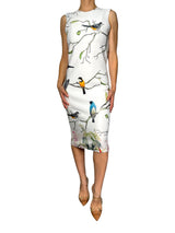 Vestido Birds
