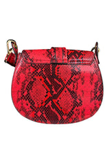 Bandolera Snake