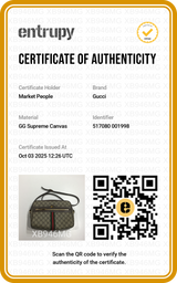 Bolso GG Supreme Canva