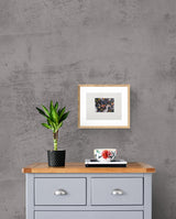 Rostros con Animales