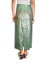 Falda Traslúcida Lentejuelas