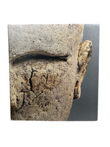 Libro Obras de estudio 1968 - 2012