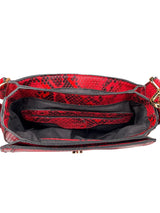 Bandolera Snake