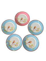 Set 5 Platos Entrada