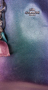 Cartera Tornasol