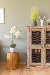 Orquídea Blanca En Macetero