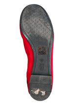 Bailarinas Shade Rubi Angelis