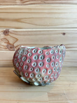 Florero Strawberry S