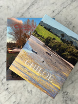 Set 2 Libros Decorativos