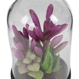 Suculenta Morada en Vidrio