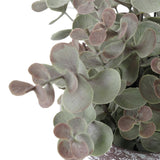 Grass Gris en Macetero