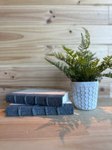 Set 2 Libros Decorativos