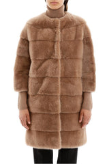 Abrigo de Vizón (5192421572743)