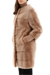 Abrigo de Vizón (5192421572743)