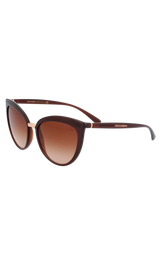 Anteojos Café (6555715764359)