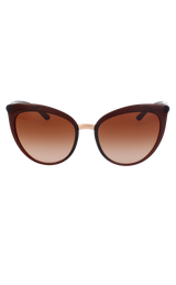 Anteojos Café (6555715764359)