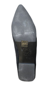 Balerinas en Punta Negras