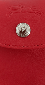 Le Pliage Cuir Small Crossbody Bag