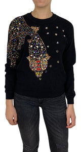Embroidered Fish Sweater