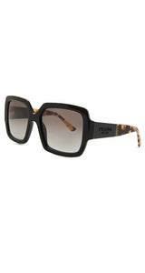 Anteojos Negro Tortoise