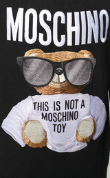 Sweater Teddy bear (6543666118791)