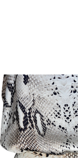 Enterito Reptil (5198896038023)