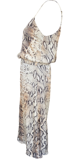 Enterito Reptil (5198896038023)