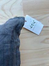 Cojin de Dinosaurios