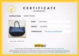 Cartera Neverfull Epi MM
