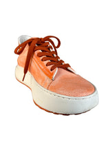 Zapatillas Damasco Desteñido