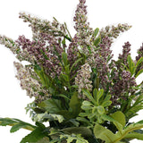 Lavanda en Macetero Blanco