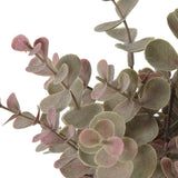 Grass Rosado en Macetero