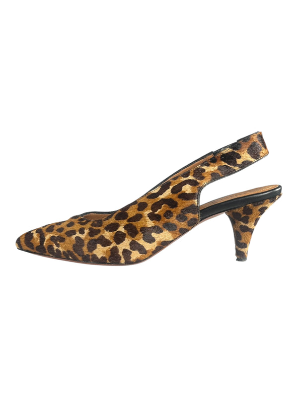 Taco Animal Print