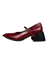 Zapatos Punta Fina