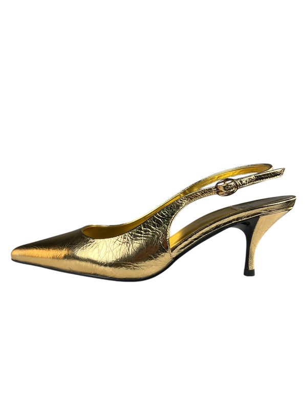 Zapato Dorado