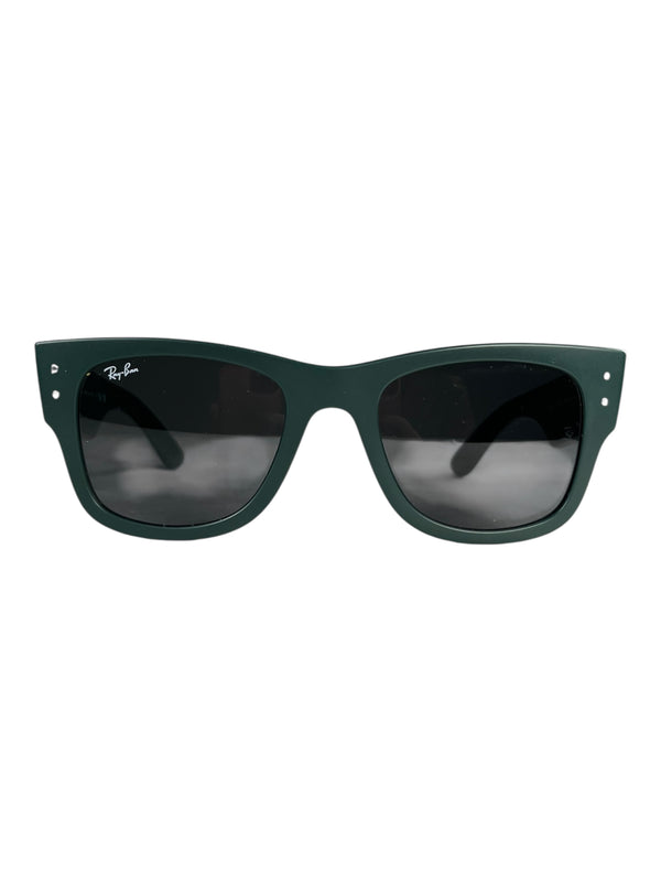 Anteojos RB 4840-S