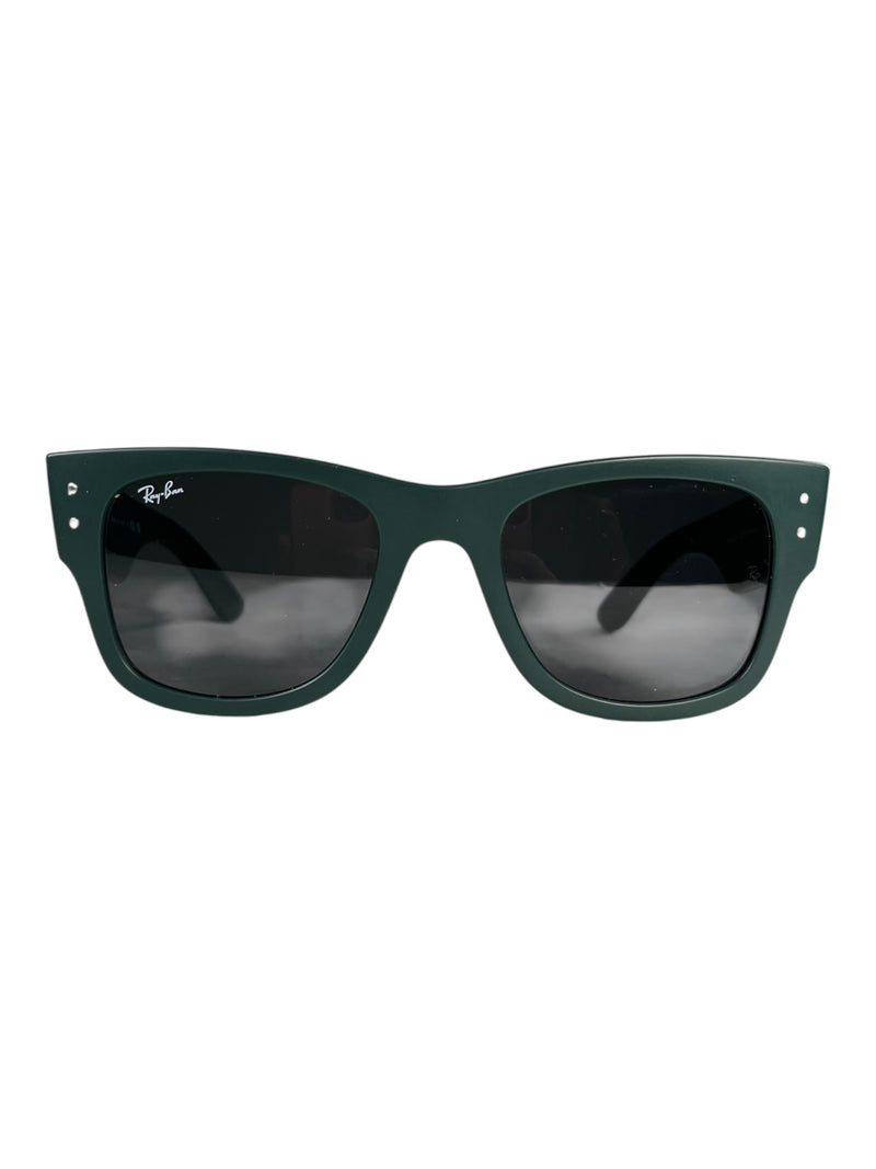 Anteojos RB 4840-S