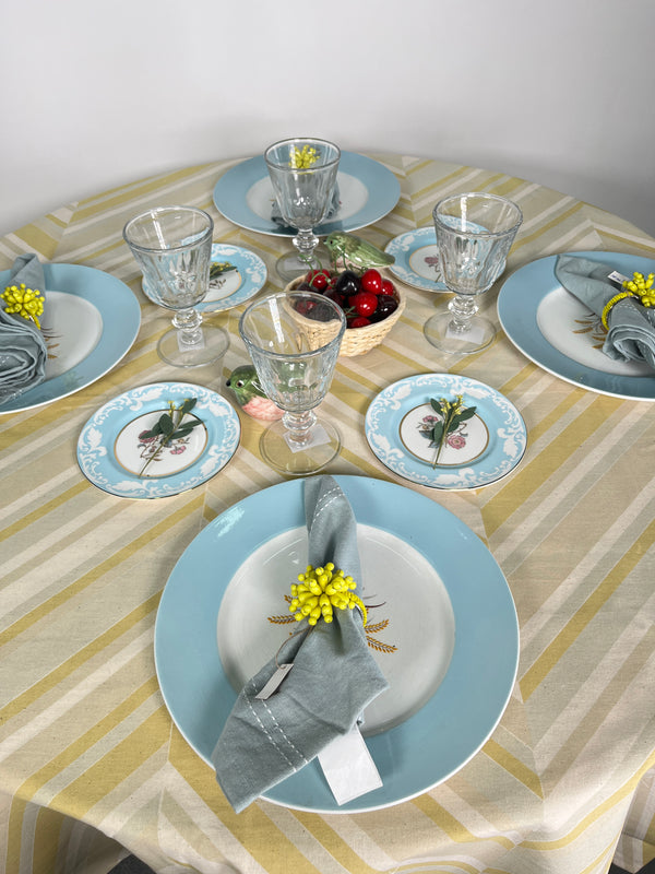Set 5 Platos de Porcelana Inglesa
