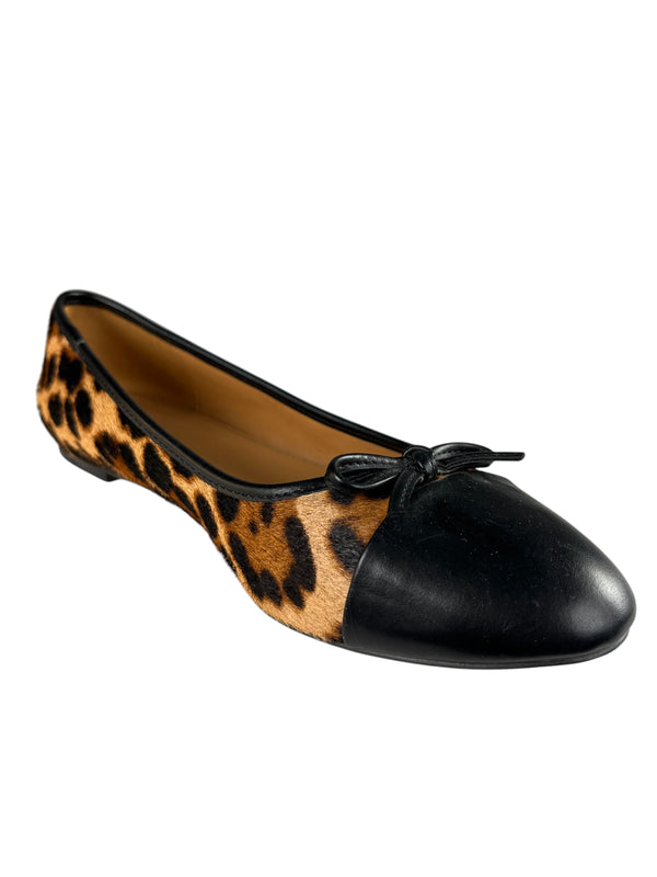 Bailarinas Piel