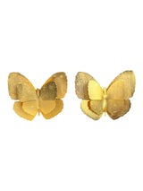 Aros Mariposa