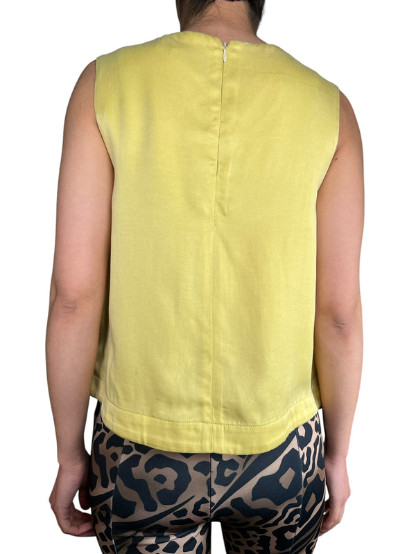 Top Camelia