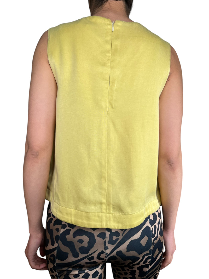 Top Camelia