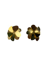 Aros Flores